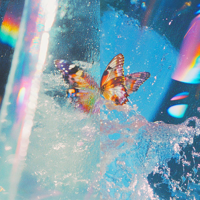 cover daphni butterfly